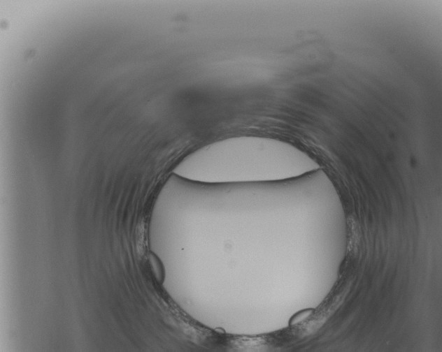 X0000068840189200605121416