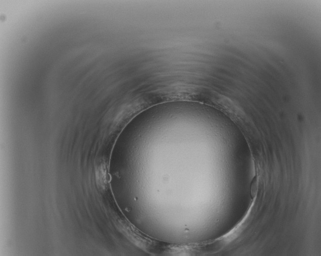 X0000068840190200605121416