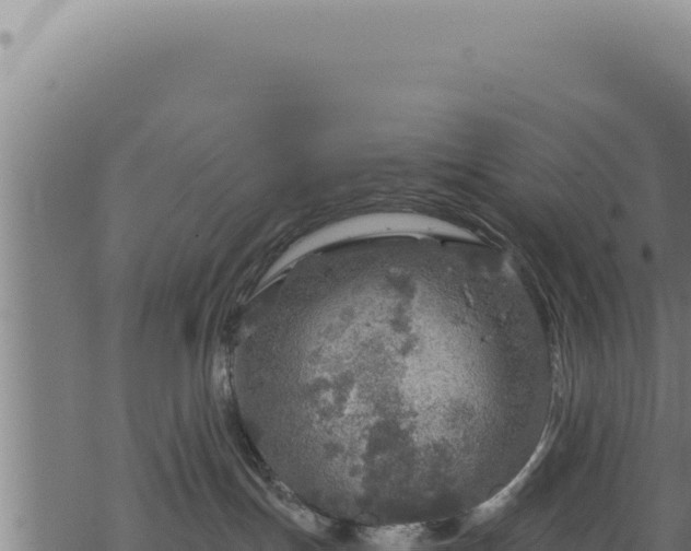 X0000068840191200605121416