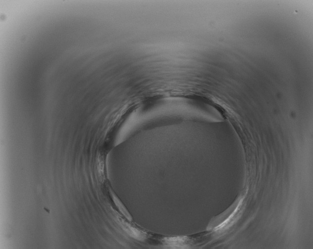 X0000068840192200605121416