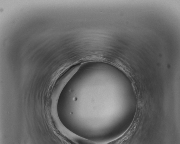 X0000068840193200605121415