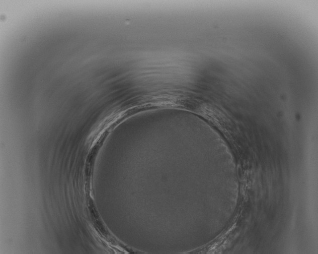 X0000068840194200605121415