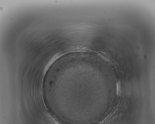 X0000068840195200605121415