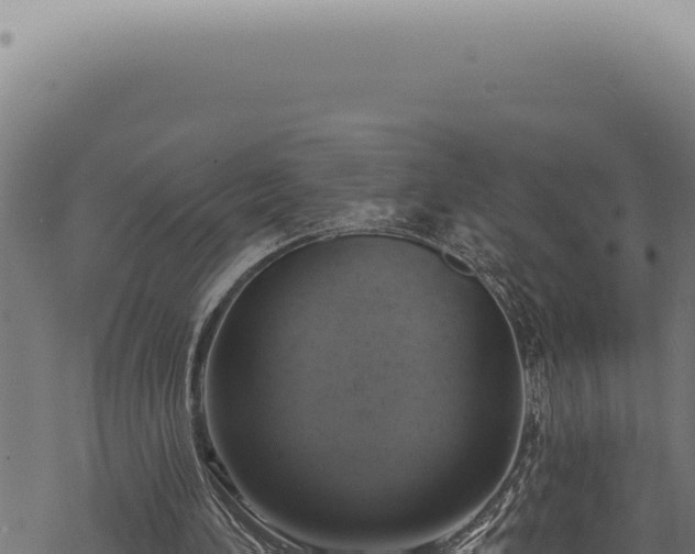 X0000068840196200605121415