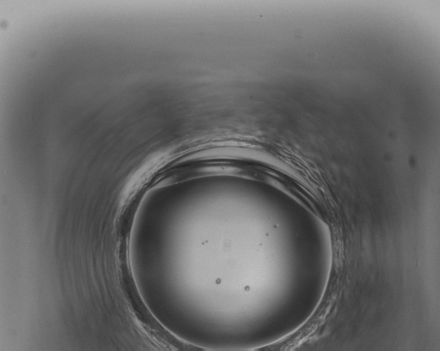 X0000068840197200605121415