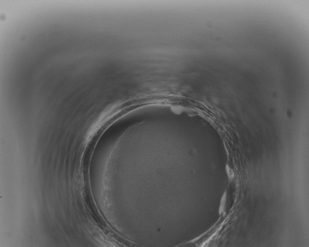 X0000068840198200605121415