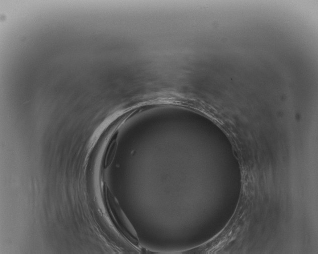 X0000068840200200605121415