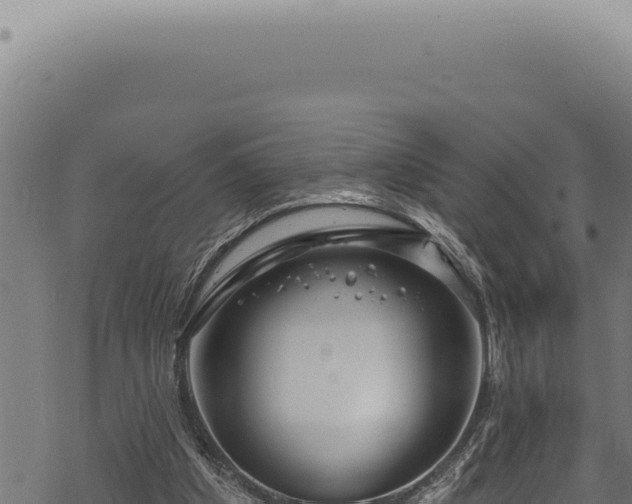 X0000068840201200605121415