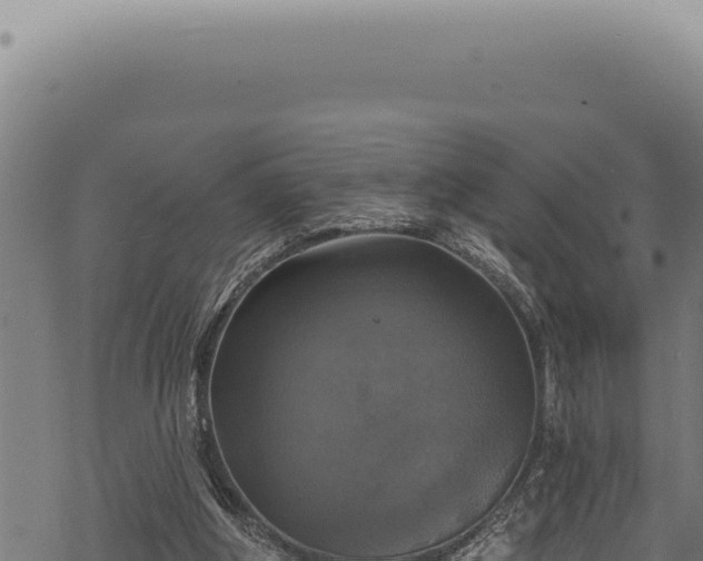 X0000068840202200605121415