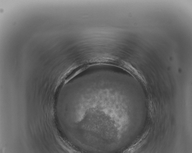 X0000068840203200605121415