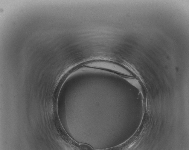 X0000068840204200605121415