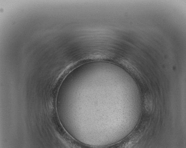 X0000068840208200605121415