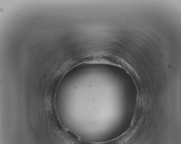 X0000068840209200605121415