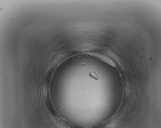 X0000068840210200605121415