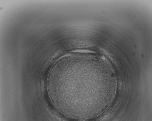 X0000068840211200605121415