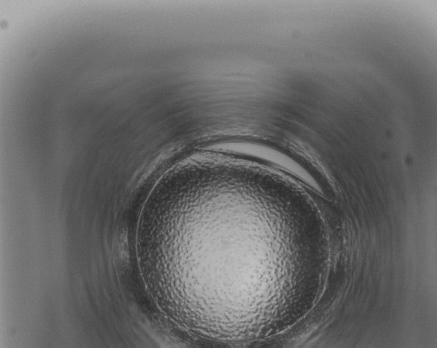 X0000068840212200605121415