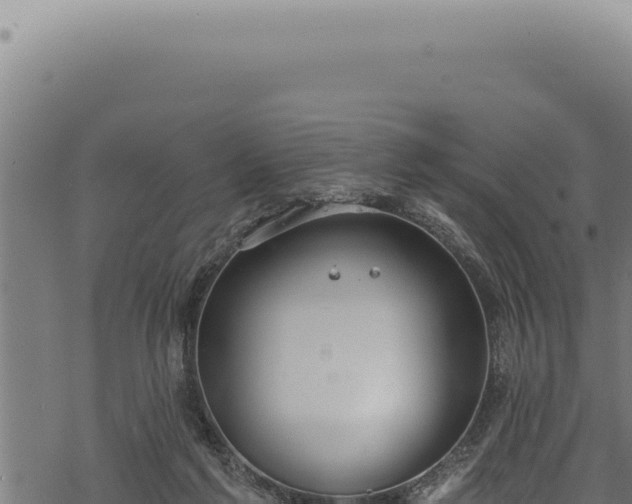 X0000068840213200605121415