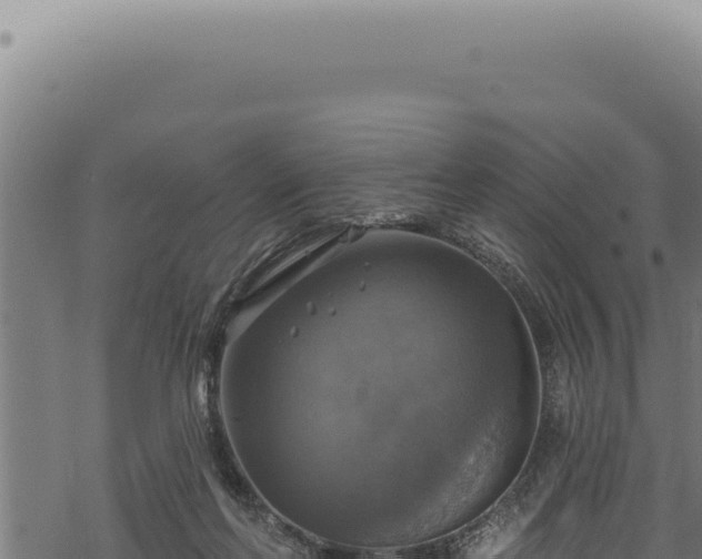 X0000068840214200605121415