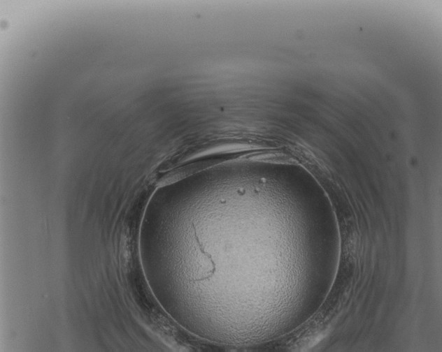 X0000068840215200605121415