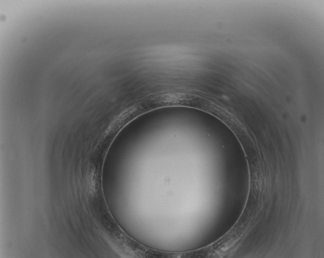 X0000068840216200605121415