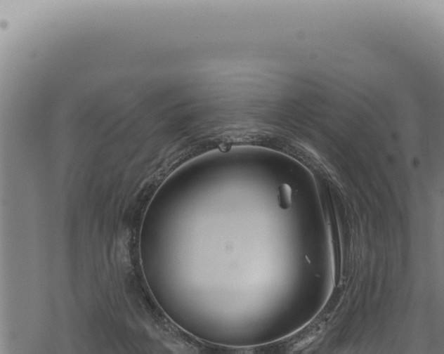 X0000068840217200605121415