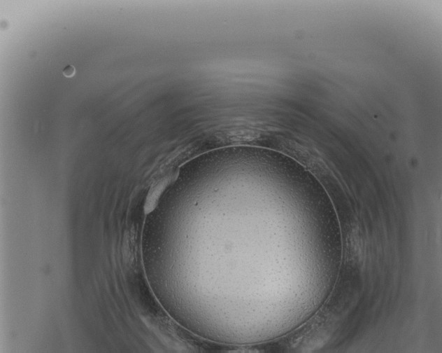 X0000068840218200605121415