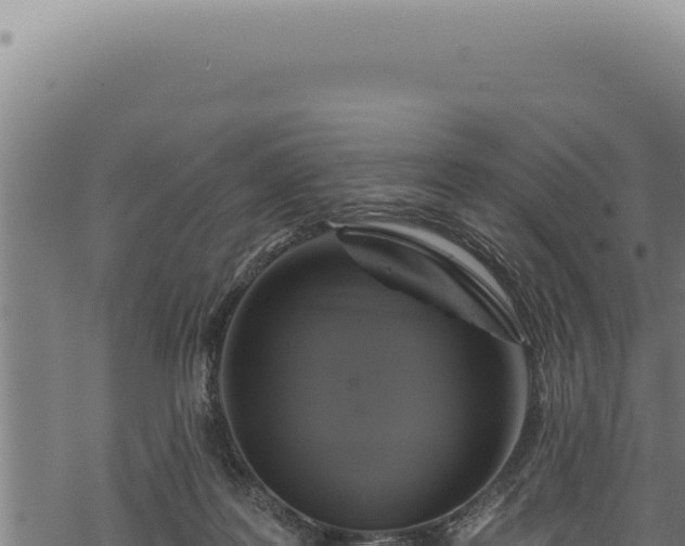 X0000068840219200605121415