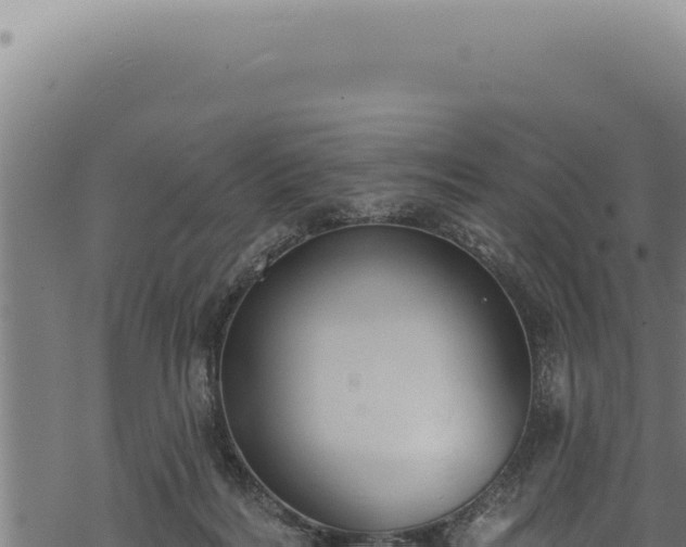 X0000068840220200605121415