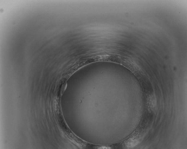 X0000068840222200605121415