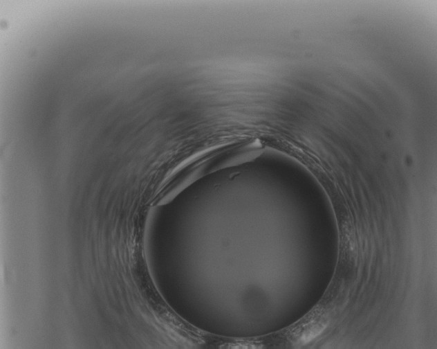 X0000068840223200605121415