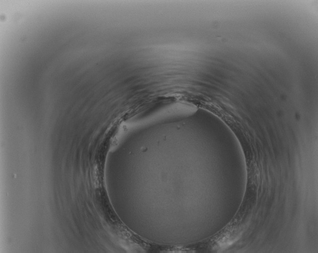 X0000068840224200605121415