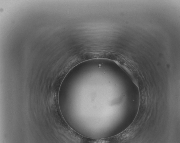 X0000068840225200605121415