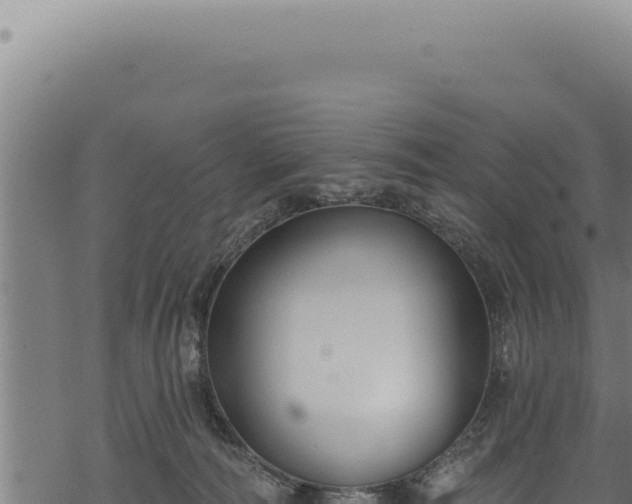 X0000068840226200605121415