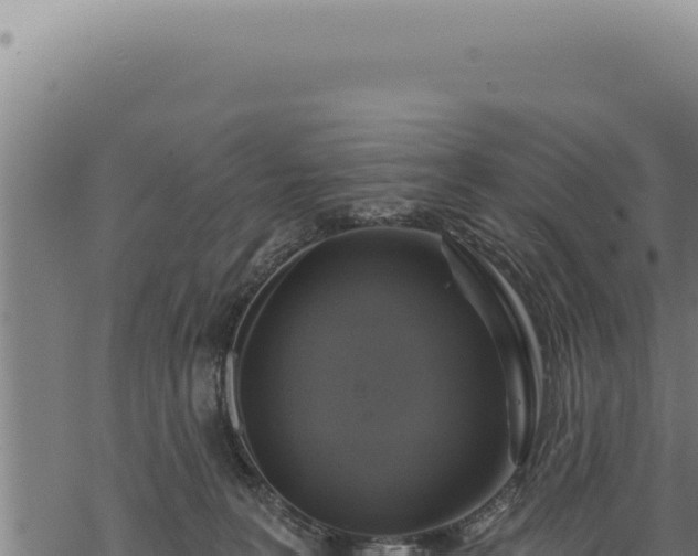 X0000068840227200605121415