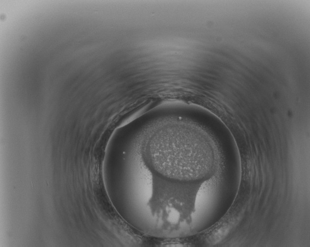 X0000068840228200605121414