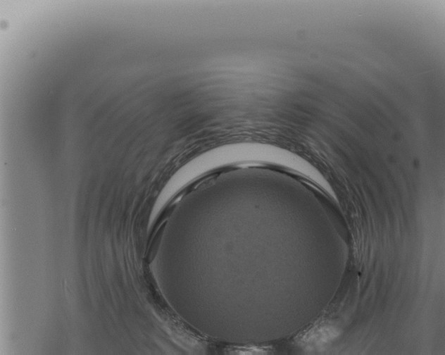 X0000068840229200605121414