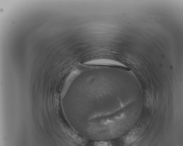 X0000068840230200605121414