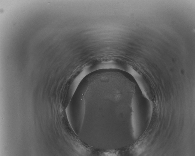 X0000068840232200605121414