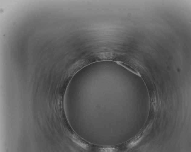 X0000068840233200605121414