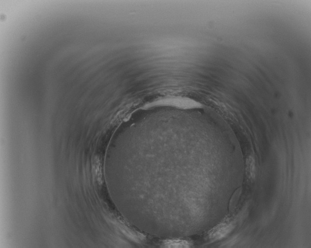 X0000068840234200605121414