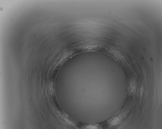 X0000068840236200605121414