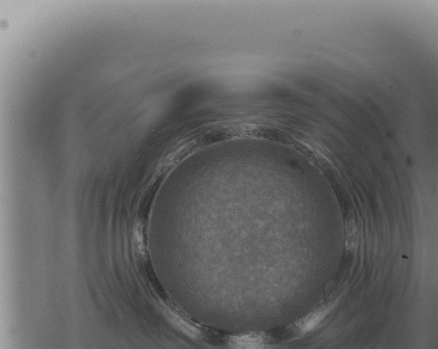 X0000068840238200605121414