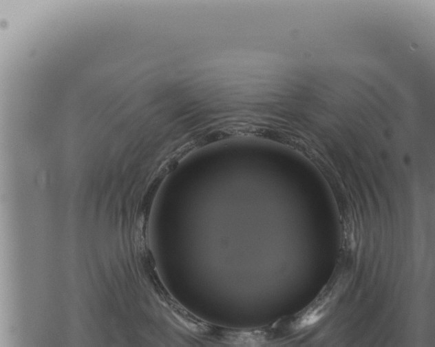 X0000068840239200605121414