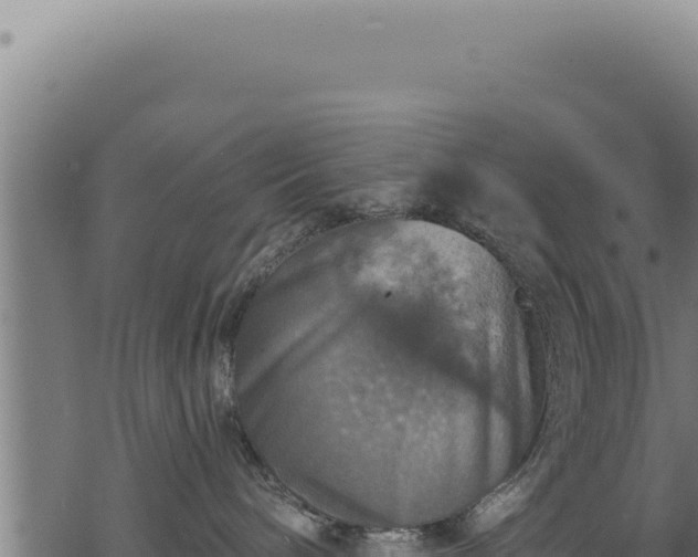 X0000068840240200605121414