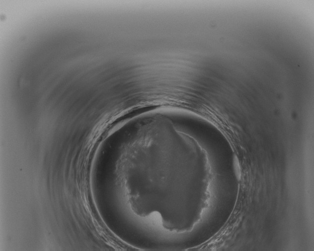 X0000068840241200605121414