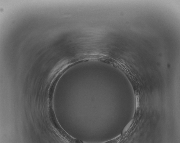 X0000068840243200605121414