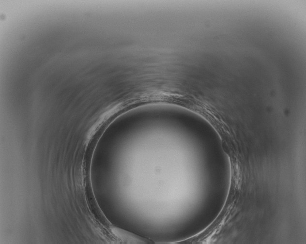 X0000068840244200605121414