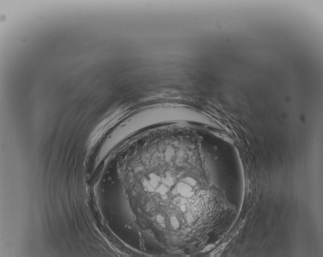 X0000068840245200605121414