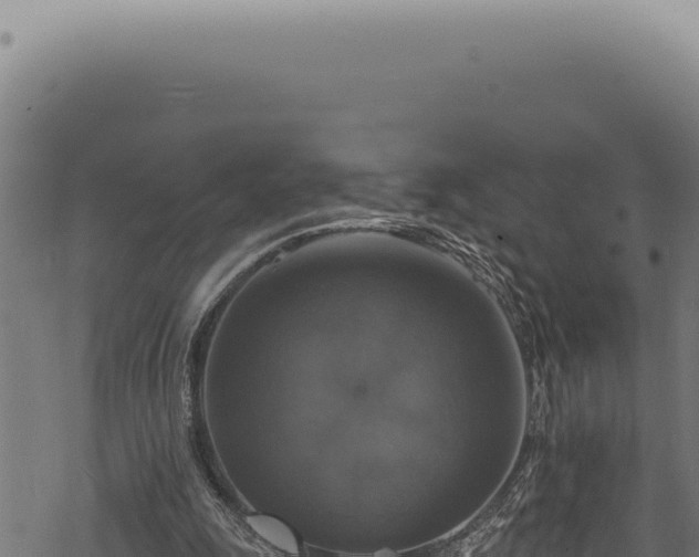 X0000068840247200605121414