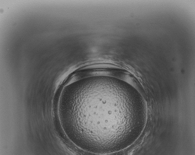 X0000068840248200605121414